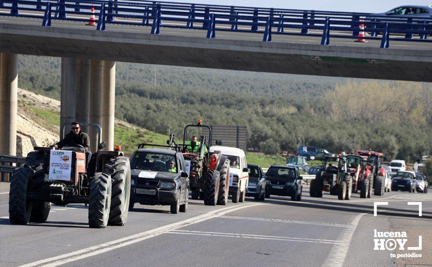 GALERÍA: El sector oleícola del sur de Córdoba muestra su indignación por los bajos precios con una tractorada histórica en Lucena