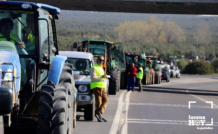 GALERÍA: El sector oleícola del sur de Córdoba muestra su indignación por los bajos precios con una tractorada histórica en Lucena