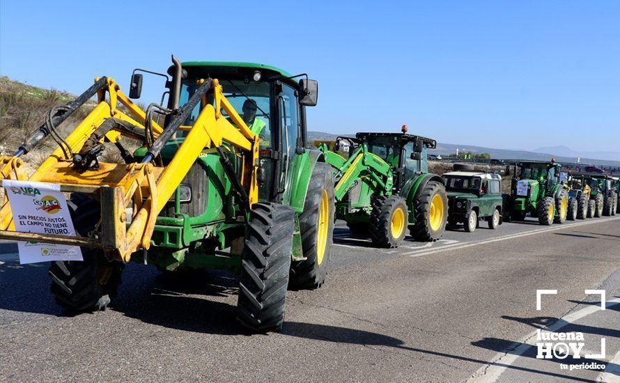 GALERÍA: El sector oleícola del sur de Córdoba muestra su indignación por los bajos precios con una tractorada histórica en Lucena