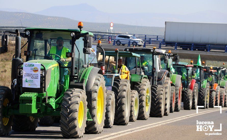 GALERÍA: El sector oleícola del sur de Córdoba muestra su indignación por los bajos precios con una tractorada histórica en Lucena