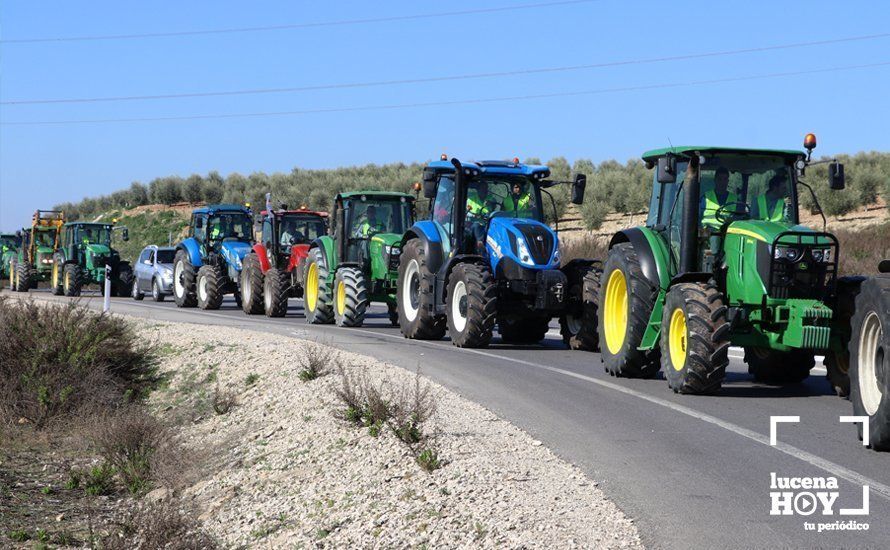 GALERÍA: El sector oleícola del sur de Córdoba muestra su indignación por los bajos precios con una tractorada histórica en Lucena