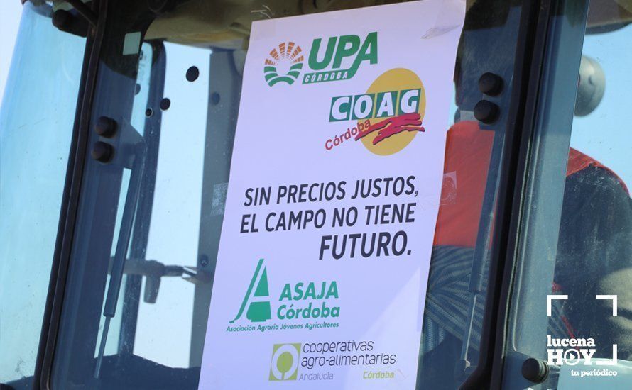GALERÍA: El sector oleícola del sur de Córdoba muestra su indignación por los bajos precios con una tractorada histórica en Lucena GALERÍA: El sector oleícola del sur de Córdoba muestra su indignación por los bajos precios con una tractorada histórica en Lucena