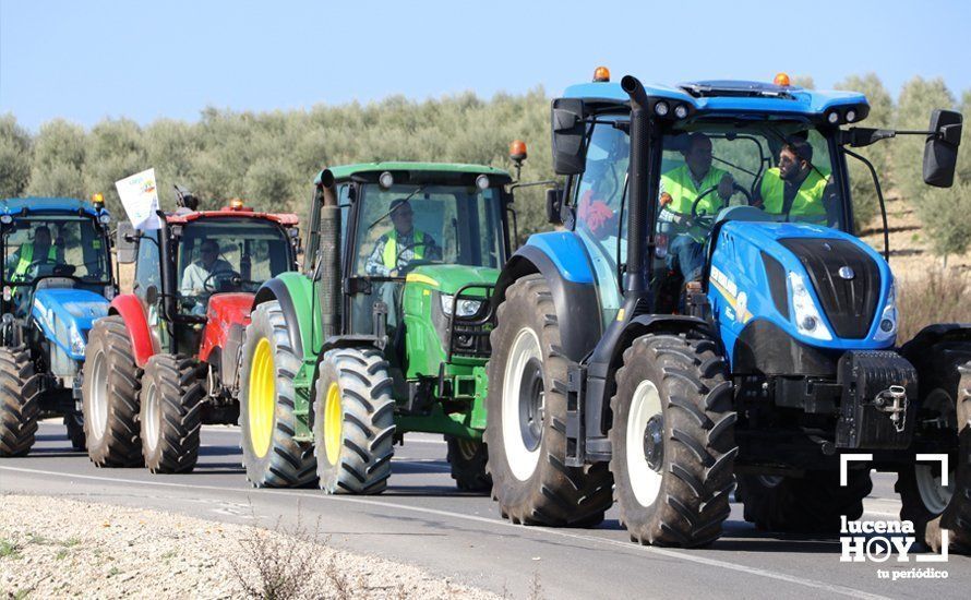 GALERÍA: El sector oleícola del sur de Córdoba muestra su indignación por los bajos precios con una tractorada histórica en Lucena