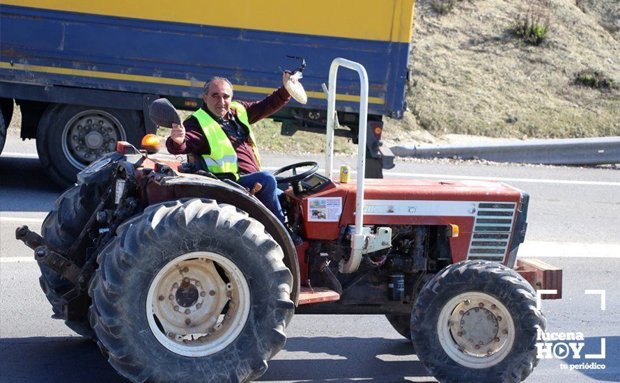 GALERÍA: El sector oleícola del sur de Córdoba muestra su indignación por los bajos precios con una tractorada histórica en Lucena