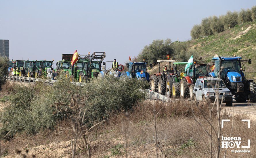 GALERÍA: El sector oleícola del sur de Córdoba muestra su indignación por los bajos precios con una tractorada histórica en Lucena