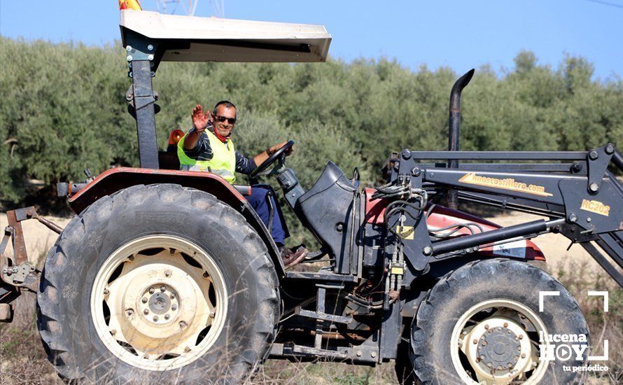 GALERÍA: El sector oleícola del sur de Córdoba muestra su indignación por los bajos precios con una tractorada histórica en Lucena