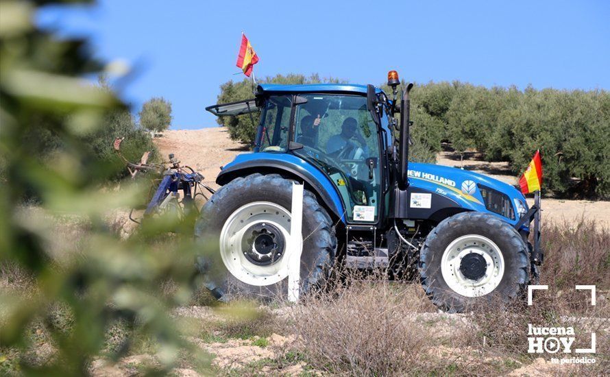 GALERÍA: El sector oleícola del sur de Córdoba muestra su indignación por los bajos precios con una tractorada histórica en Lucena