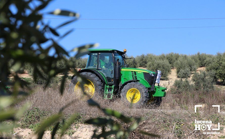 GALERÍA: El sector oleícola del sur de Córdoba muestra su indignación por los bajos precios con una tractorada histórica en Lucena