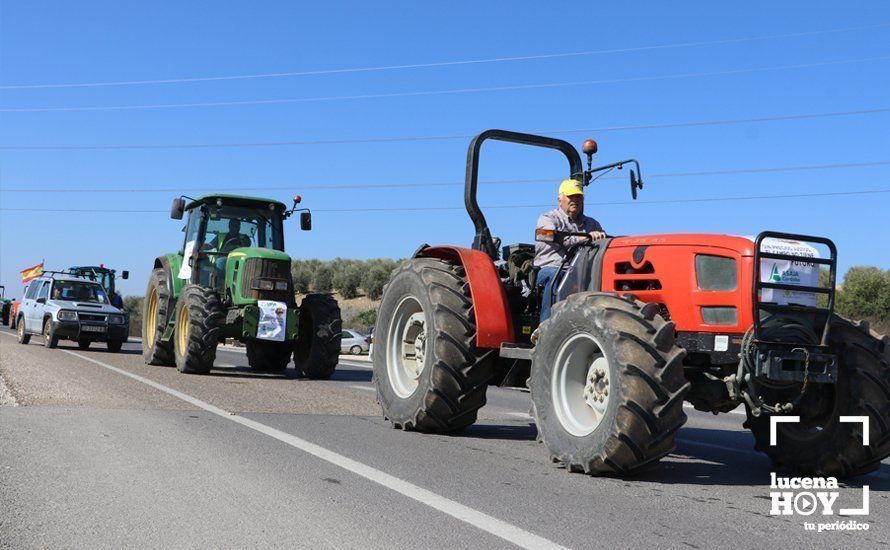 GALERÍA: El sector oleícola del sur de Córdoba muestra su indignación por los bajos precios con una tractorada histórica en Lucena