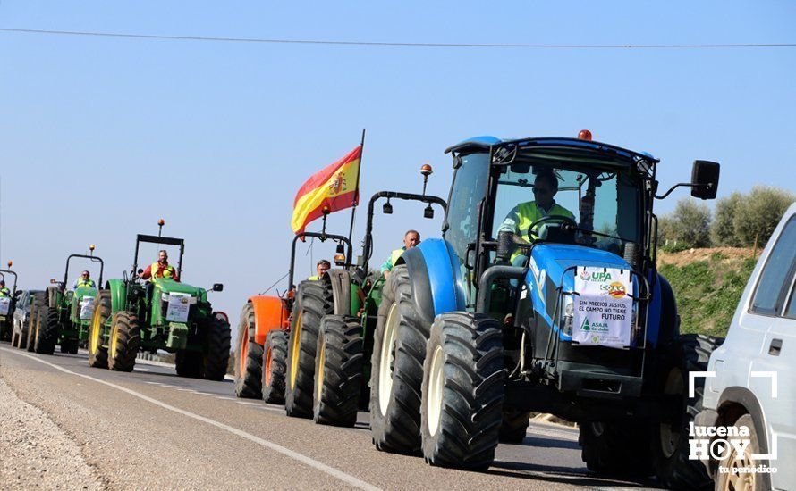 GALERÍA: El sector oleícola del sur de Córdoba muestra su indignación por los bajos precios con una tractorada histórica en Lucena