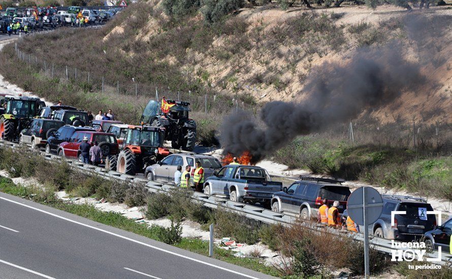 GALERÍA: El sector oleícola del sur de Córdoba muestra su indignación por los bajos precios con una tractorada histórica en Lucena