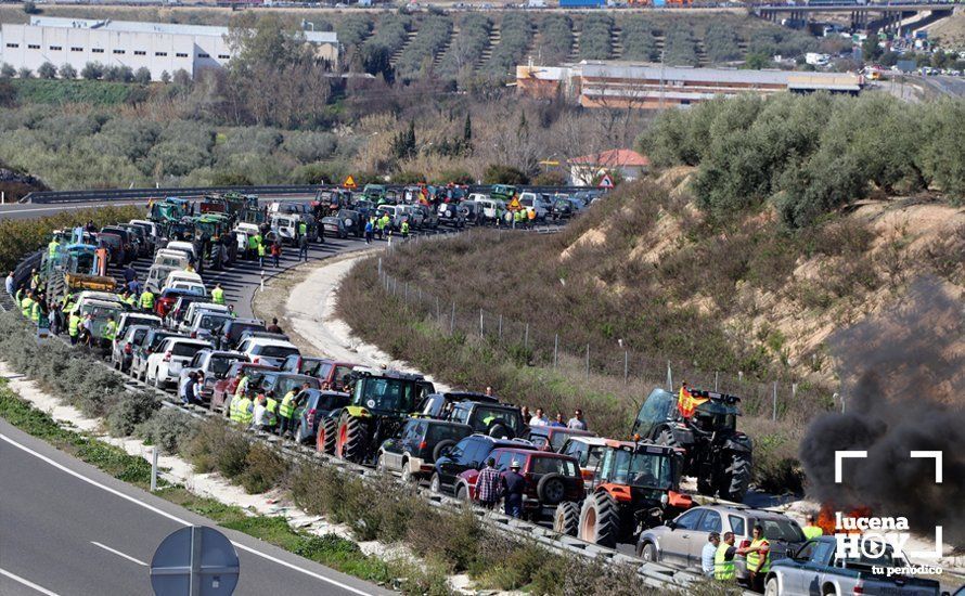GALERÍA: El sector oleícola del sur de Córdoba muestra su indignación por los bajos precios con una tractorada histórica en Lucena