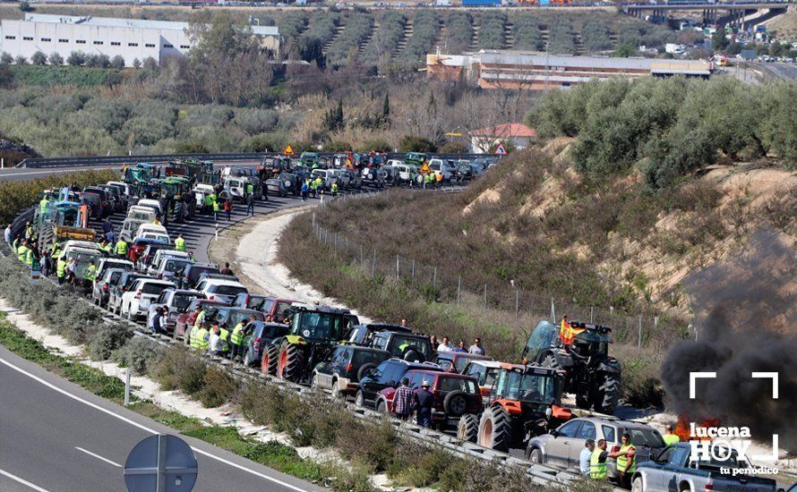 GALERÍA: El sector oleícola del sur de Córdoba muestra su indignación por los bajos precios con una tractorada histórica en Lucena GALERÍA: El sector oleícola del sur de Córdoba muestra su indignación por los bajos precios con una tractorada histórica en Lucena