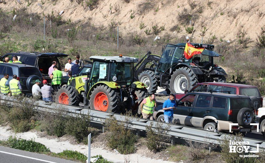 GALERÍA: El sector oleícola del sur de Córdoba muestra su indignación por los bajos precios con una tractorada histórica en Lucena