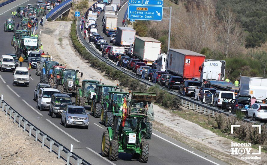 GALERÍA: El sector oleícola del sur de Córdoba muestra su indignación por los bajos precios con una tractorada histórica en Lucena GALERÍA: El sector oleícola del sur de Córdoba muestra su indignación por los bajos precios con una tractorada histórica en Lucena