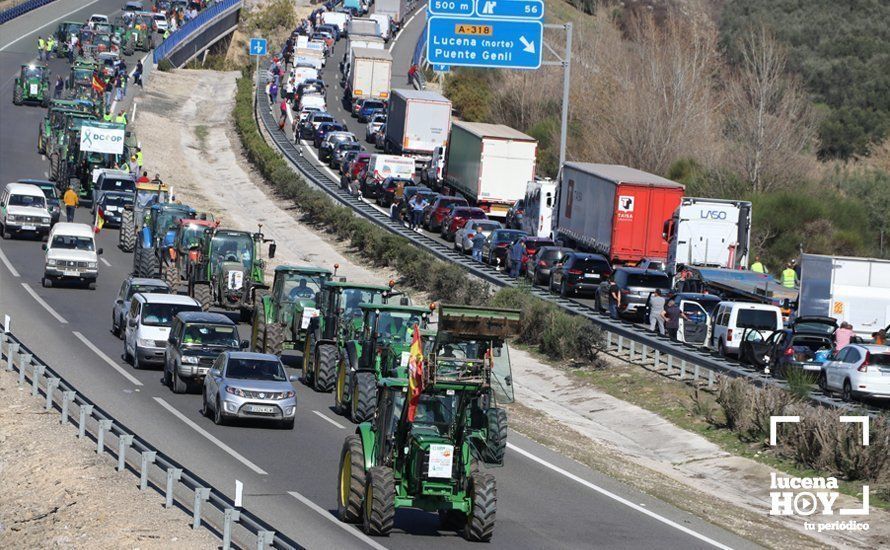 GALERÍA: El sector oleícola del sur de Córdoba muestra su indignación por los bajos precios con una tractorada histórica en Lucena