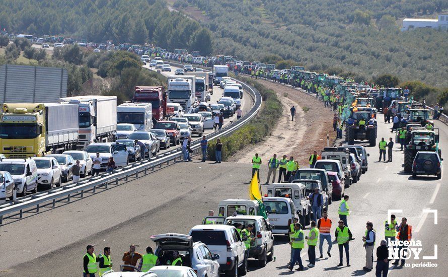 Una imagen de archivo de la histórica tractorada en Lucena el 14 de febrero de 2020.