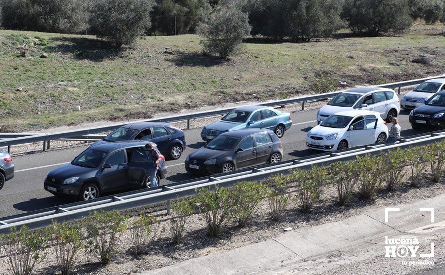 GALERÍA: El sector oleícola del sur de Córdoba muestra su indignación por los bajos precios con una tractorada histórica en Lucena