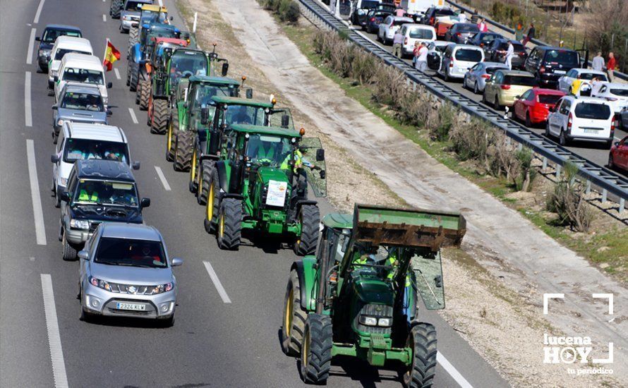 GALERÍA: El sector oleícola del sur de Córdoba muestra su indignación por los bajos precios con una tractorada histórica en Lucena