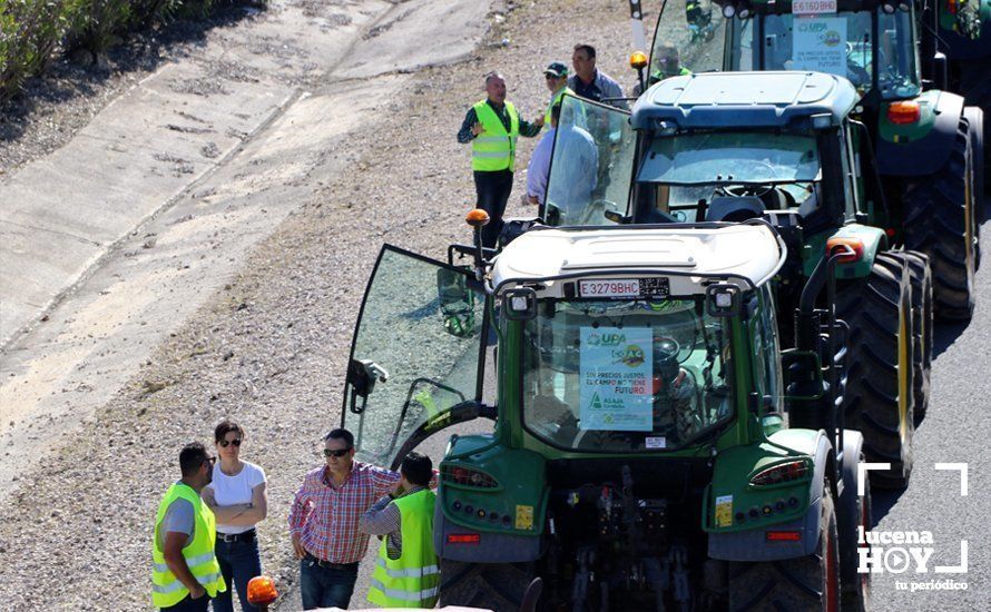 GALERÍA: El sector oleícola del sur de Córdoba muestra su indignación por los bajos precios con una tractorada histórica en Lucena