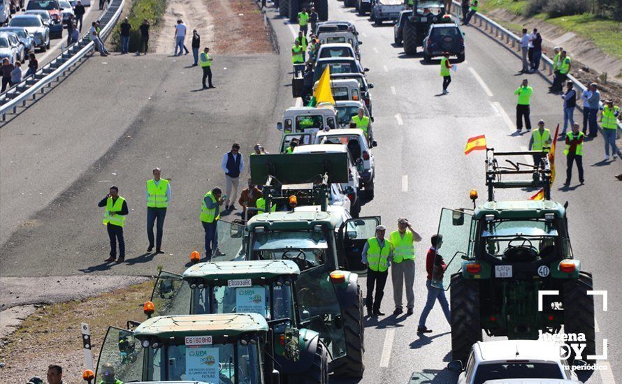 GALERÍA: El sector oleícola del sur de Córdoba muestra su indignación por los bajos precios con una tractorada histórica en Lucena