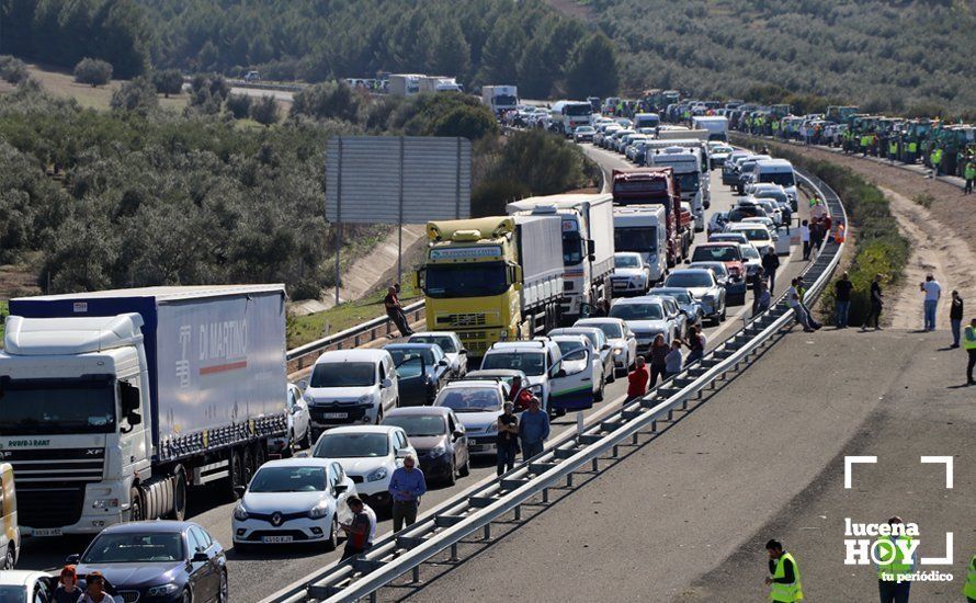 GALERÍA: El sector oleícola del sur de Córdoba muestra su indignación por los bajos precios con una tractorada histórica en Lucena