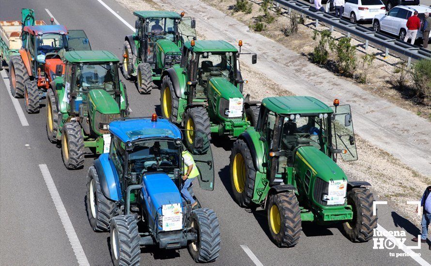 GALERÍA: El sector oleícola del sur de Córdoba muestra su indignación por los bajos precios con una tractorada histórica en Lucena