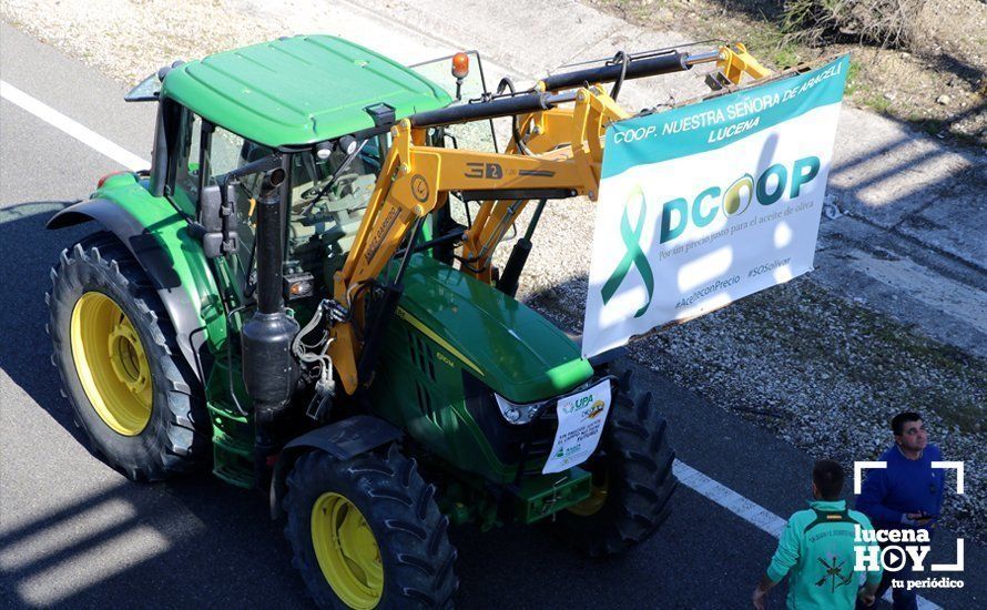 GALERÍA: El sector oleícola del sur de Córdoba muestra su indignación por los bajos precios con una tractorada histórica en Lucena