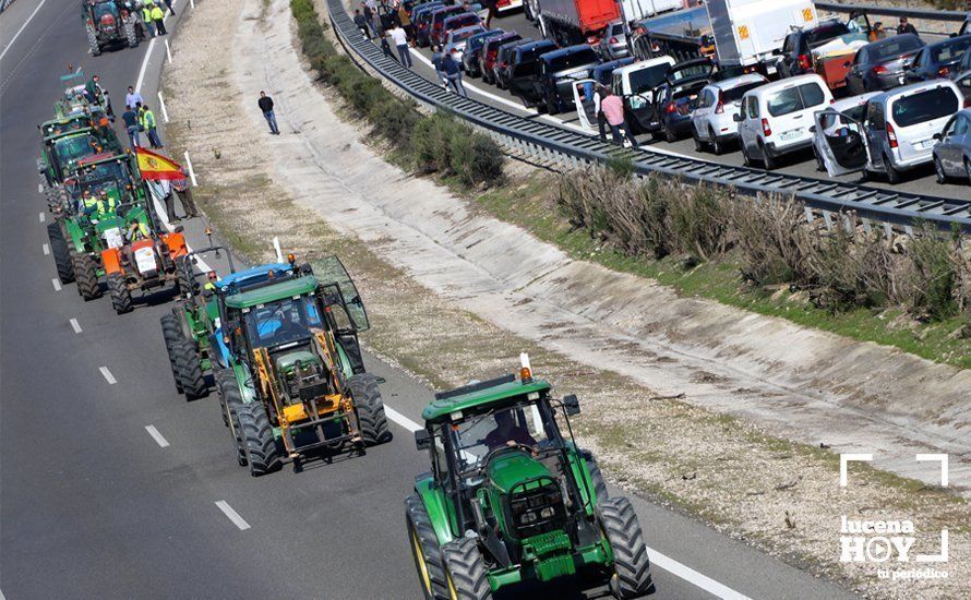 GALERÍA: El sector oleícola del sur de Córdoba muestra su indignación por los bajos precios con una tractorada histórica en Lucena GALERÍA: El sector oleícola del sur de Córdoba muestra su indignación por los bajos precios con una tractorada histórica en Lucena