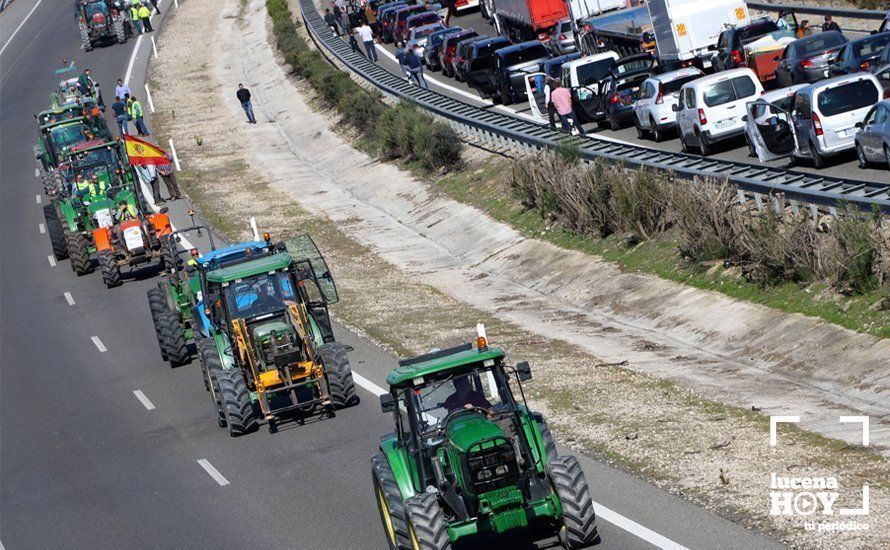 GALERÍA: El sector oleícola del sur de Córdoba muestra su indignación por los bajos precios con una tractorada histórica en Lucena