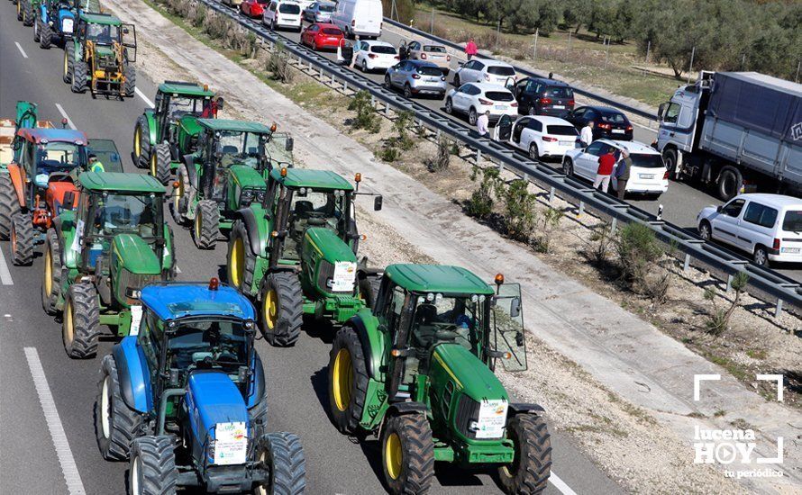 GALERÍA: El sector oleícola del sur de Córdoba muestra su indignación por los bajos precios con una tractorada histórica en Lucena