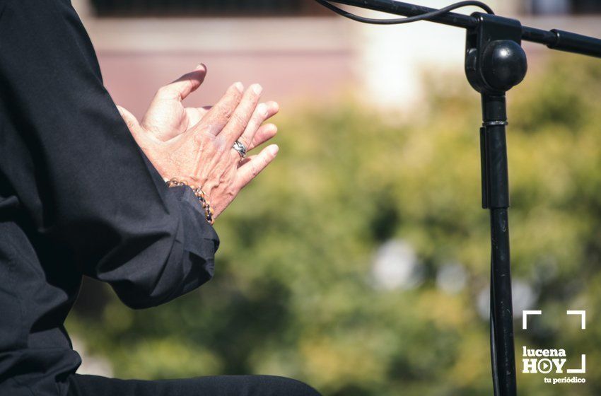 GALERÍA: Las imágenes del concierto de José Mercé en la Plaza Nueva