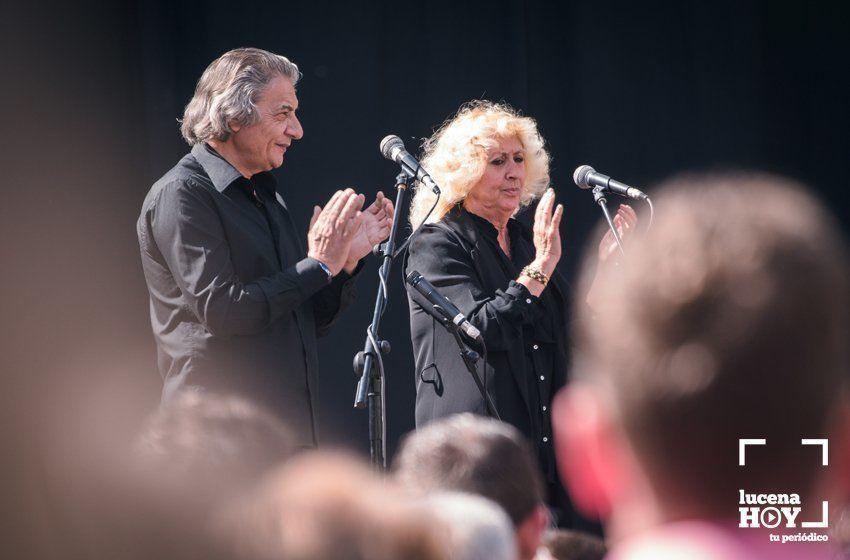 GALERÍA: Las imágenes del concierto de José Mercé en la Plaza Nueva