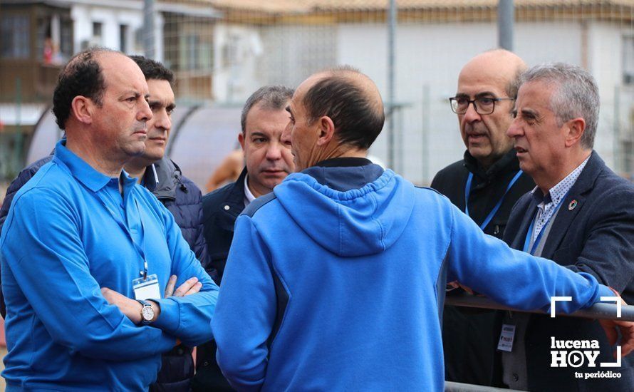 GALERÍA 1: Las mejores imágenes de la VII Media Maratón de Lucena