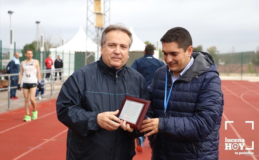 GALERÍA 1: Las mejores imágenes de la VII Media Maratón de Lucena