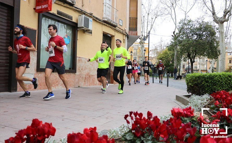 GALERÍA 1: Las mejores imágenes de la VII Media Maratón de Lucena