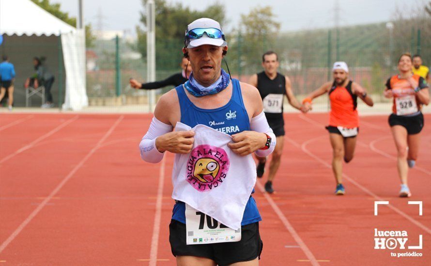 GALERÍA 1: Las mejores imágenes de la VII Media Maratón de Lucena