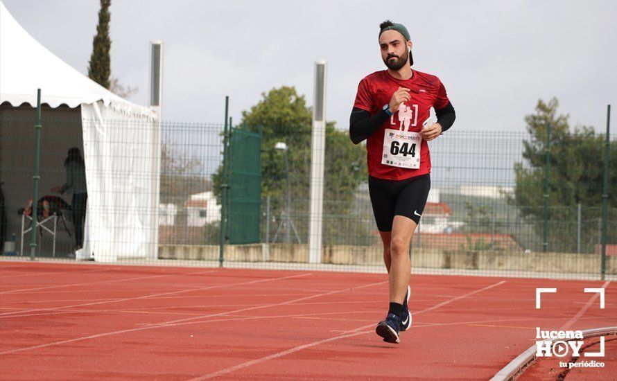 GALERÍA 1: Las mejores imágenes de la VII Media Maratón de Lucena