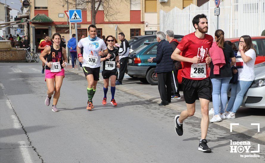 GALERÍA 1: Las mejores imágenes de la VII Media Maratón de Lucena GALERÍA 1: Las mejores imágenes de la VII Media Maratón de Lucena