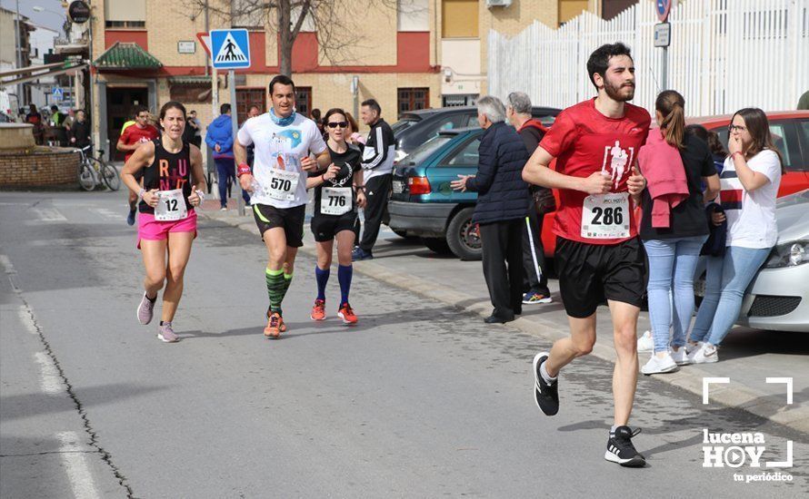 GALERÍA 1: Las mejores imágenes de la VII Media Maratón de Lucena