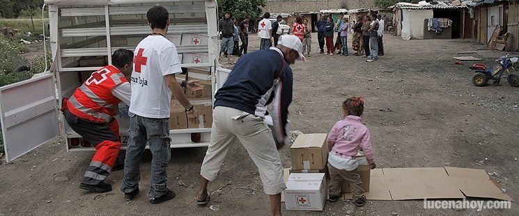  Cruz Roja atendió a 296 inmigrantes en Lucena y otras ciudades 