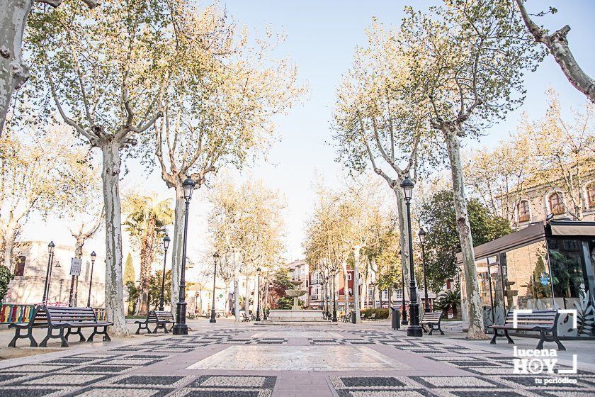 GALERÍA: Lucena esta tarde: Comercios cerrados y calles vacías por el coronavirus