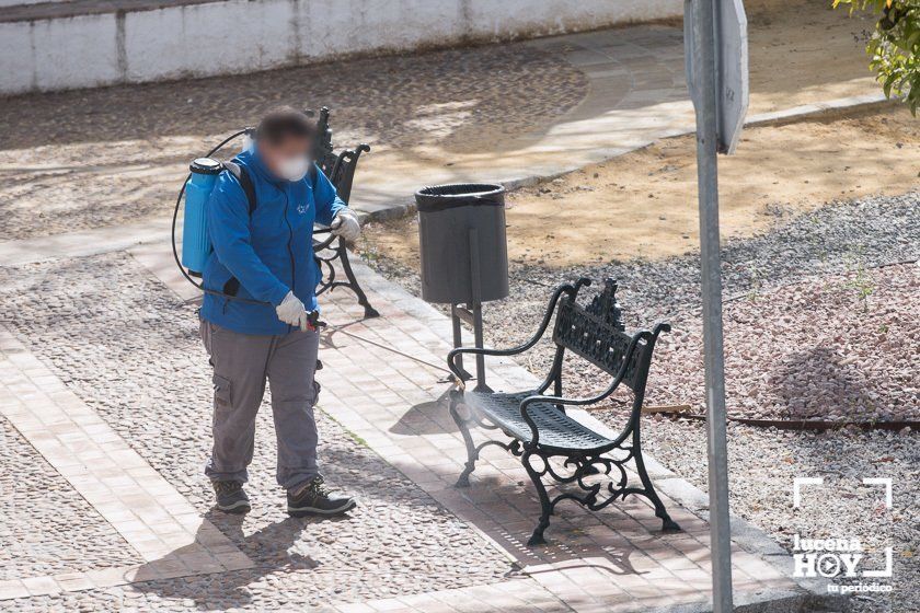  Un trabajador municipal desinfecta los bancos en el Llanete de los Dolores 