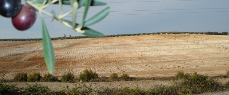  PSOE e IUCA muestran divergencias sobre el proyecto del golf 