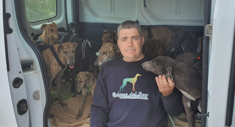  Un miembro de la asociación con los 9 galgos recogidos en Lucena 