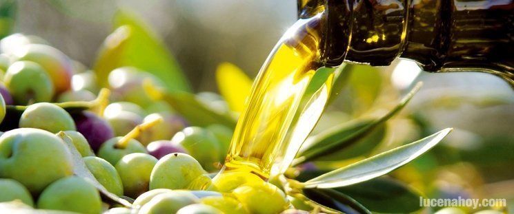  Aceites de Lucena pondrá en el mercado 300.000 kilos de aceite 