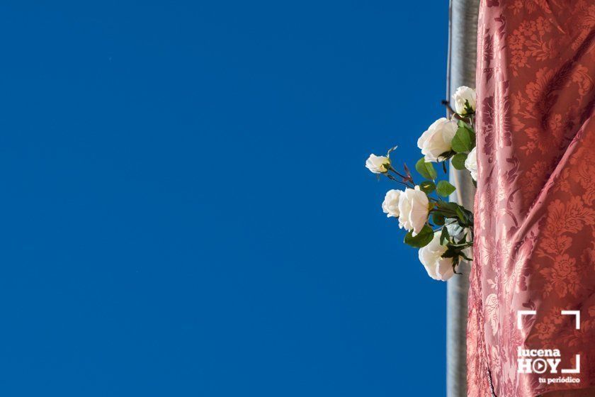 GALERÍA: Una ofrenda floral a María Stma. de Araceli desde los balcones de Lucena