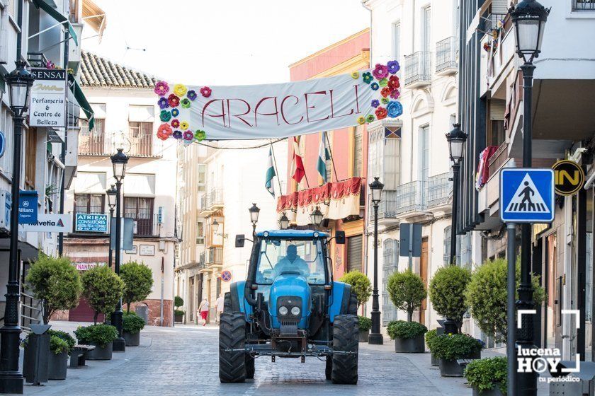 GALERÍA: Una ofrenda floral a María Stma. de Araceli desde los balcones de Lucena