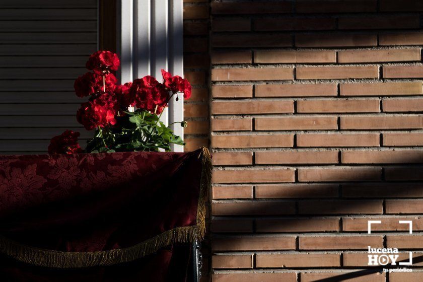 GALERÍA: Una ofrenda floral a María Stma. de Araceli desde los balcones de Lucena GALERÍA: Una ofrenda floral a María Stma. de Araceli desde los balcones de Lucena
