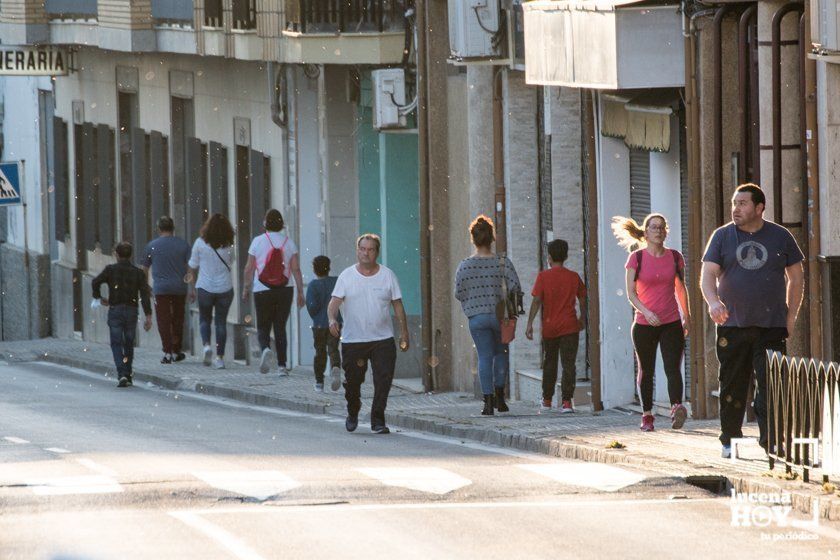 GALERÍA: Lucena sale tras 48 días de confinamiento. Las fotos de la vuelta a las calles